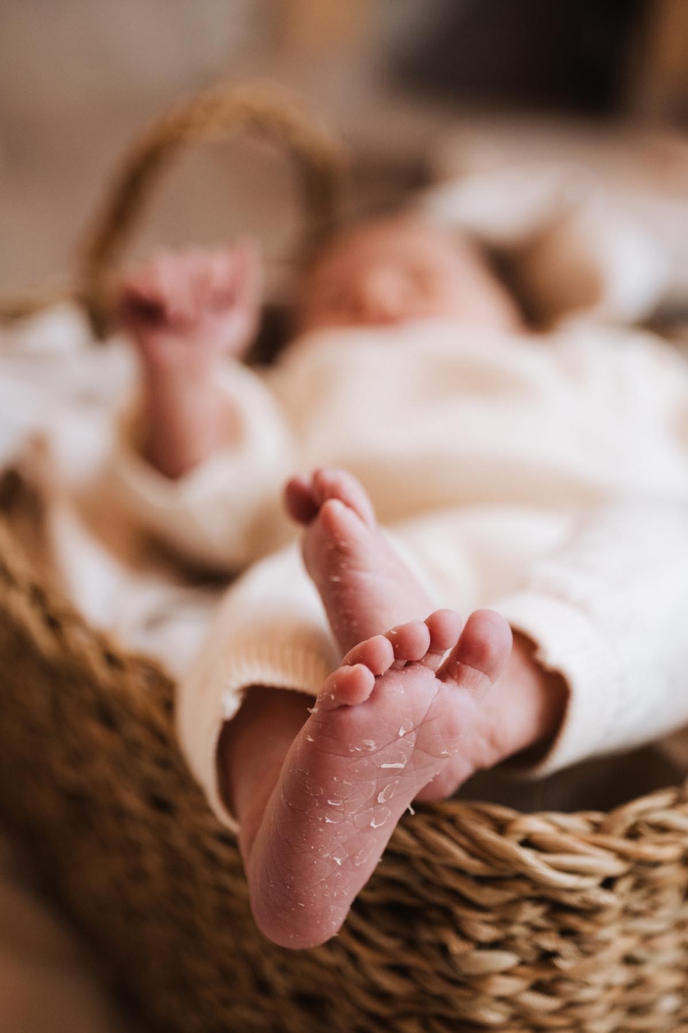 CeliArtstudio by Celina Daube - Portfolio